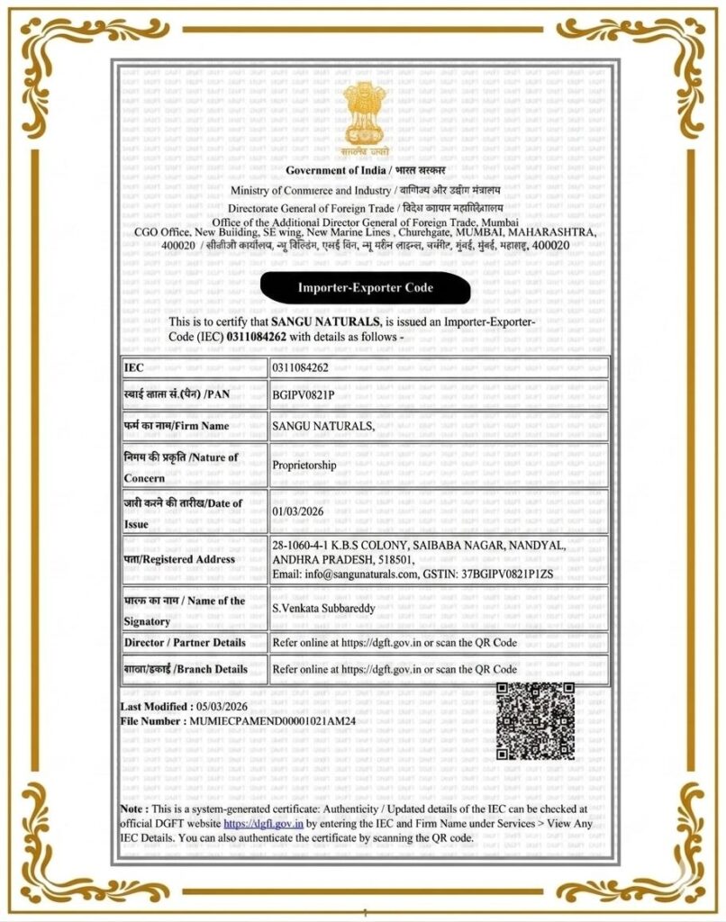 photo 2026 03 21 13 10 57