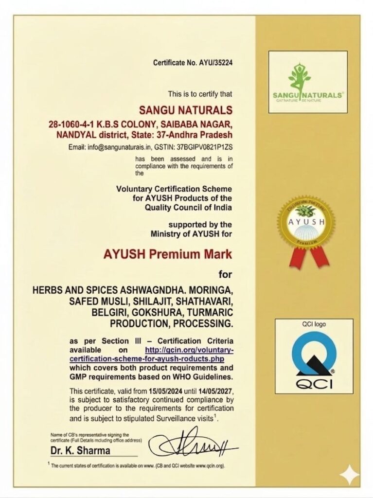 photo 2026 03 21 13 19 55